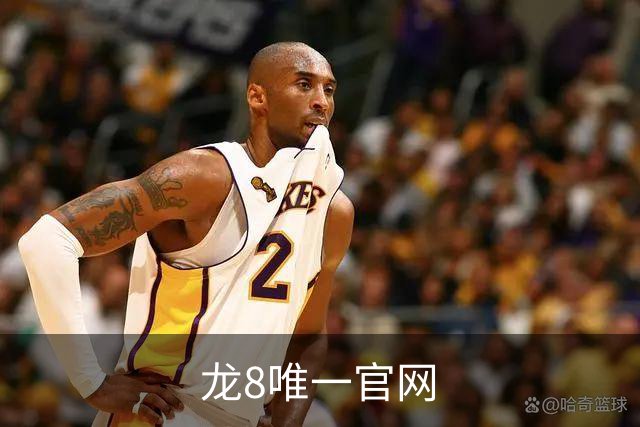 龙8唯一官网公司介绍图